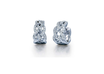 Rhodium Plated | Fashion Earrings